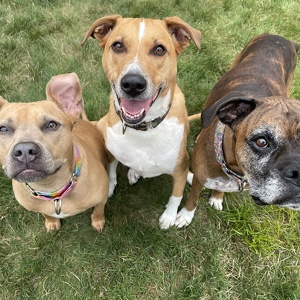 Fundraising Page: HOLLY DUFFANY